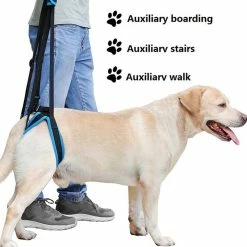 Mia's Pet Supply 2019 New Adjustable Dog Lift Harness For Back Legs