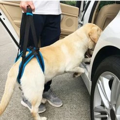 Top 10 ๐ Mia's Pet Supply 2019 New Adjustable ๐ Dog Lift Harness For Back Legs โค๏ธ 9 Mia's Pet Supply 2019 New Adjustable Dog Lift Harness For Back Legs