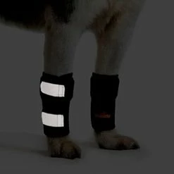 Buy 👍 Mia's Pet Supply Pair Of NeoAlly 🐕 Dog Front Leg Braces Canine Carpal Support ✨ 7 Mia's Pet Supply Pair Of NeoAlly Dog Front Leg Braces Canine Carpal Support