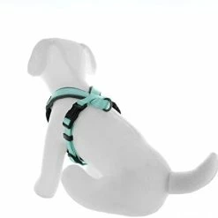 Mia's Pet Supply Pawtitas Padded Harness Puppy Harness Dog Harness Reflective Leashes And Harness