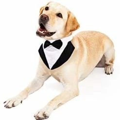 Mia's Pet Supply Formal Dog Tuxedo For Medium Large Dogs,