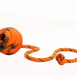 Mia's Pet Supply Dog Toys : PlayfulSpirit Durable Natural Rubber Ball On A Rope