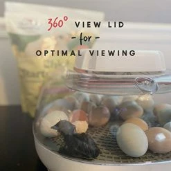 Best Pirce 👏 Mia's Pet Supply Harris Farms Nurture Right Incubator Chicken Coop Cages 🥰 12 Mia's Pet Supply Harris Farms Nurture Right Incubator Chicken Coop Cages