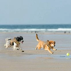 Mia's Pet Supply Tactical Dog Vest Harness, Outdoor Training Service Dog Vest Leashes And Harness