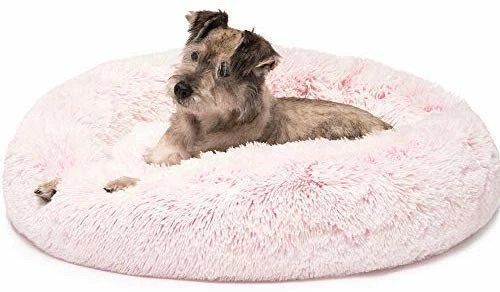 Top 10 ⌛ Mia's Pet Supply : Friends Forever Luxury Marshmallow Cat Bed, 🔔 8 Mia's Pet Supply : Friends Forever Luxury Marshmallow Cat Bed,