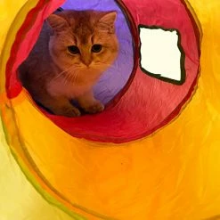 Mia's Pet Supply CATTUNNEL-5R New DeeNiner Colorful Cat Tunnel Cat Tunnel For Indoor Cats Large, With Play Ball S-Shape 5 Way Collapsible Interactive Peek Hole Pet Tube Toys