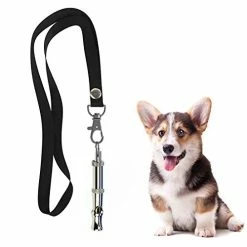 Mia's Pet Supply : Puppy Training Set