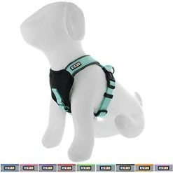 Mia's Pet Supply Pawtitas Padded Harness Puppy Harness Dog Harness Reflective Leashes And Harness