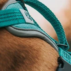 Mia's Pet Supply Embark Sports Dog Harness, Light And Breathable Design