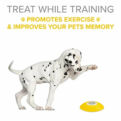 Flash Sale 🎁 Mia's Pet Supply Arf Pets 🐕 Dog Treat Dispenser - 🐕 Dog Puzzle Memory Training Activity Toy - 🤩 2 Mia's Pet Supply Arf Pets Dog Treat Dispenser - Dog Puzzle Memory Training Activity Toy -
