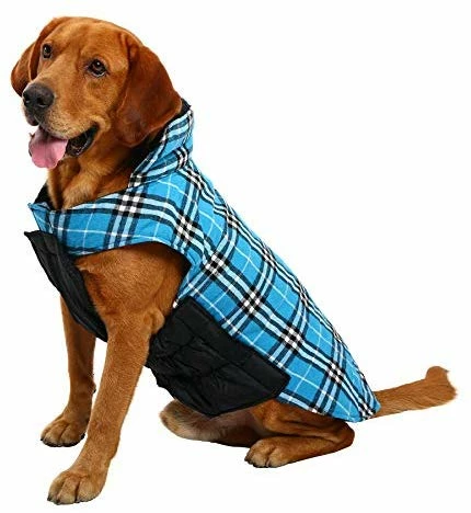 Buy ⌛ Mia's Pet Supply MIGOHI 🐕 Dog Jacket For Winter Windproof Waterproof Reversible 🐕 Dog 🧥 Coat ⌛ 12 Mia's Pet Supply MIGOHI Dog Jacket For Winter Windproof Waterproof Reversible Dog Coat