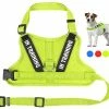 Mia's Pet Supply Leashes And Harness NOYAL In Training Dog Harness, Soft Breathable Mesh Dog Vest Harness