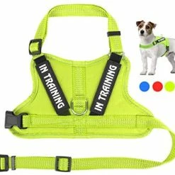 Mia's Pet Supply Leashes And Harness NOYAL In Training Dog Harness, Soft Breathable Mesh Dog Vest Harness