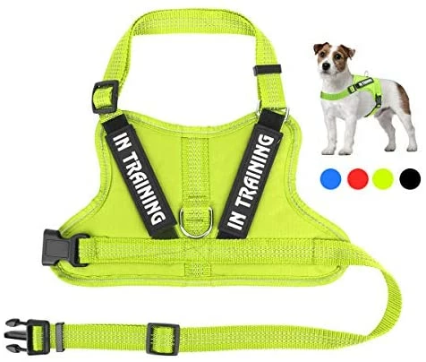 Best deal 🎉 Mia's Pet Supply Leashes And Harness NOYAL In Training 🐶 Dog Harness, Soft Breathable Mesh 🐶 Dog Vest Harness 🛒 1 Mia's Pet Supply Leashes And Harness NOYAL In Training Dog Harness, Soft Breathable Mesh Dog Vest Harness