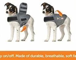 Brand new 🤩 Mia's Pet Supply ThunderShirt Classic 🦮 Dog Anxiety Jacket | Apparel 🤩 19 Mia's Pet Supply ThunderShirt Classic Dog Anxiety Jacket | Apparel