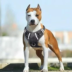 Mia's Pet Supply : Babyltrl Big Dog Harness No-Pull Adjustable Leashes And Harness