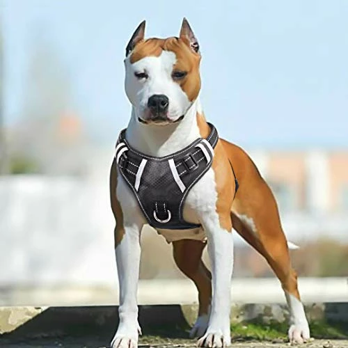 Buy β Mia's Pet Supply : Babyltrl Big πΆ Dog Harness No-Pull Adjustable Leashes And Harness π 1 Mia's Pet Supply : Babyltrl Big Dog Harness No-Pull Adjustable Leashes And Harness