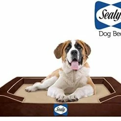 Mia's Pet Supply Bedding Sealy Lux Pet Dog Bed | Quad Layer Technology With Memory Orthopedic Foam