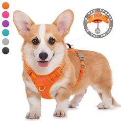 Mia's Pet Supply BARKBAY No Pull Dog Harness Large Step In Reflective Dog Harness Leashes And Harness