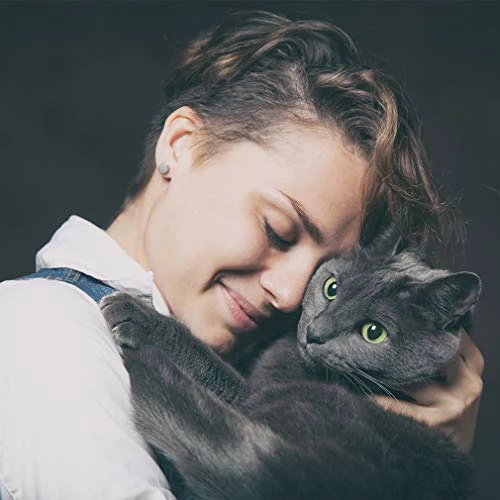 Best deal ๐ Mia's Pet Supply : Cat Cage, Crate, Kennel & Playpen ๐ 2 Mia's Pet Supply : Cat Cage, Crate, Kennel & Playpen