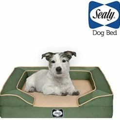 Mia's Pet Supply Bedding Sealy Lux Pet Dog Bed | Quad Layer Technology With Memory Orthopedic Foam