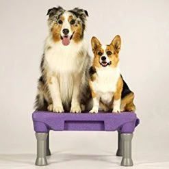 Mia's Pet Supply The KLIMB Dog Training Platform And Agility System