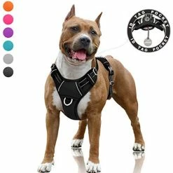 Mia's Pet Supply BARKBAY No Pull Dog Harness Large Step In Reflective Dog Harness Leashes And Harness