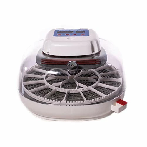 Best Pirce 👏 Mia's Pet Supply Harris Farms Nurture Right Incubator Chicken Coop Cages 🥰 1 Mia's Pet Supply Harris Farms Nurture Right Incubator Chicken Coop Cages