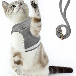 Mia's Pet Supply Cat Harness And Leash Set For Walking Cat And Small Dog Harness