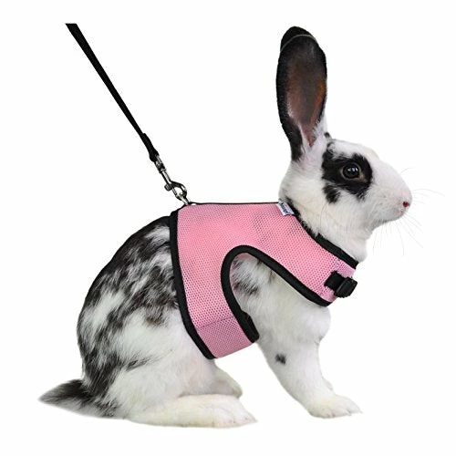 Discount โ Mia's Pet Supply Rabbit Houses & Accessories : Niteangel Adjustable Soft Harness With Elastic Leash For Rabbits (L, Orange) : ๐งจ 6 Mia's Pet Supply Rabbit Houses & Accessories : Niteangel Adjustable Soft Harness With Elastic Leash For Rabbits (L, Orange) :