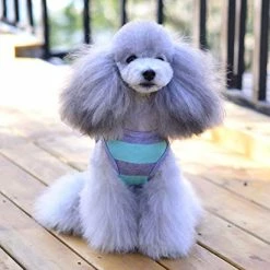 Cheapest π Mia's Pet Supply Camisetas Para Cachorro Con Tiras Anchas Para Perro, Ropa Para Mascotas, π― 15 Mia's Pet Supply Camisetas Para Cachorro Con Tiras Anchas Para Perro, Ropa Para Mascotas,