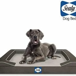 Mia's Pet Supply Bedding Sealy Lux Pet Dog Bed | Quad Layer Technology With Memory Orthopedic Foam