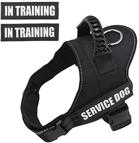 Top 10 โจ Mia's Pet Supply Dihapet ๐ Dog Harness, Service ๐ Dog Vest ๐คฉ 8 Mia's Pet Supply Dihapet Dog Harness, Service Dog Vest