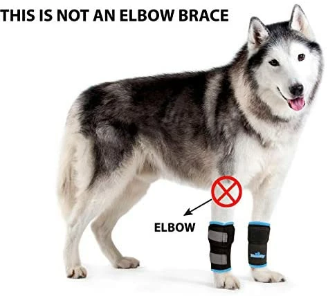 Buy 👍 Mia's Pet Supply Pair Of NeoAlly 🐕 Dog Front Leg Braces Canine Carpal Support ✨ 4 Mia's Pet Supply Pair Of NeoAlly Dog Front Leg Braces Canine Carpal Support