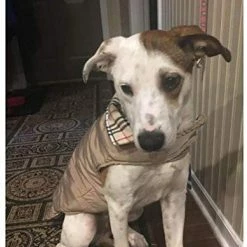 Mia's Pet Supply Apparel RINGLOOSE Dog Winter Coat Reversible