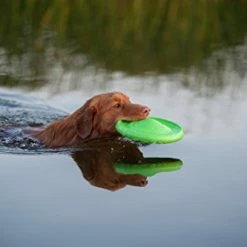 Mia's Pet Supply : COLLAR Floppy Dog Frisbee -