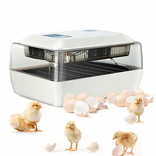 Discount 😉 Mia's Pet Supply Magicfly Digital Fully Automatic Egg Incubator 24 Eggs Poultry Hatcher For Chickens Ducks Chicken Coop Cages 🔔 2 Mia's Pet Supply Magicfly Digital Fully Automatic Egg Incubator 24 Eggs Poultry Hatcher For Chickens Ducks Chicken Coop Cages