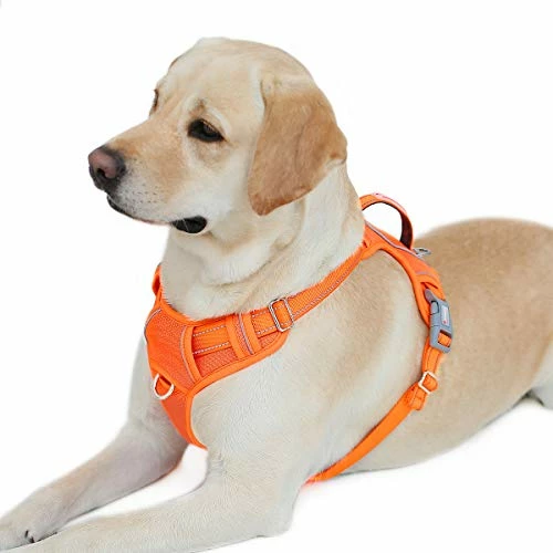 New 💯 Mia's Pet Supply No Pull 🐕 Dog Harness Front Clip Heavy Duty Reflective Easy Control Handle For Large 🐕 Dog Leashes And Harness ✨ 19 Mia's Pet Supply No Pull Dog Harness Front Clip Heavy Duty Reflective Easy Control Handle For Large Dog Leashes And Harness
