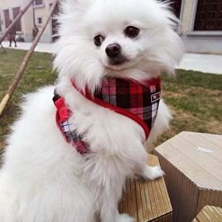 Mia's Pet Supply THAIN Soft Mesh Dog Harness With Leash Plaid Adjustable Dog No Pull Harnesses