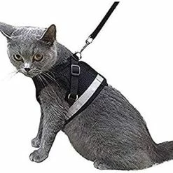 Mia's Pet Supply Leashes And Harness Kamots Beauty Escape Proof Dog Cat Harness And Leash