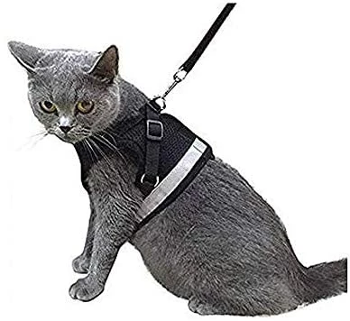 Top 10 ๐ Mia's Pet Supply Leashes And Harness Kamots Beauty Escape Proof ๐ถ Dog Cat Harness And Leash โจ 1 Mia's Pet Supply Leashes And Harness Kamots Beauty Escape Proof Dog Cat Harness And Leash
