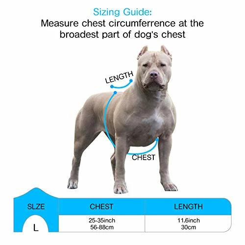 New 🥰 Mia's Pet Supply : Babyltrl Big 🦮 Dog Harness No-Pull Anti-Tear Adjustable 🎉 7 Mia's Pet Supply : Babyltrl Big Dog Harness No-Pull Anti-Tear Adjustable