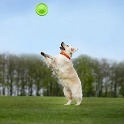 Mia's Pet Supply : COLLAR Floppy Dog Frisbee -