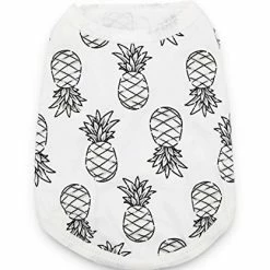 Best reviews of ๐ Mia's Pet Supply Apparel Cute T ๐ Shirt For Small ๐ฆฎ Dogs, Small, Pack Of 3 ๐ 7 Mia's Pet Supply Apparel Cute T Shirt For Small Dogs, Small, Pack Of 3