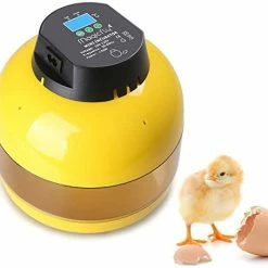 Mia's Pet Supply Magicfly Digital Mini Semi Automatic Egg Incubator 10 Eggs Poultry Hatcher