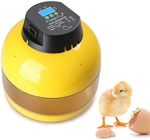 Discount 😍 Mia's Pet Supply Magicfly Digital Mini Semi Automatic Egg Incubator 10 Eggs Poultry Hatcher 👏 1 Mia's Pet Supply Magicfly Digital Mini Semi Automatic Egg Incubator 10 Eggs Poultry Hatcher