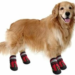 Deals โญ Mia's Pet Supply QUMY ๐ Dog ๐ฅพ Boots Waterproof ๐ Shoes With Reflective Velcro Rugged Anti-Slip Apparel ๐ 14 Mia's Pet Supply QUMY Dog Boots Waterproof Shoes With Reflective Velcro Rugged Anti-Slip Apparel