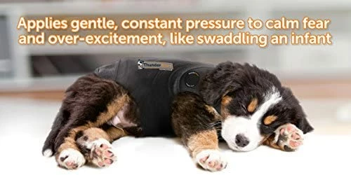 Brand new 🤩 Mia's Pet Supply ThunderShirt Classic 🦮 Dog Anxiety Jacket | Apparel 🤩 7 Mia's Pet Supply ThunderShirt Classic Dog Anxiety Jacket | Apparel