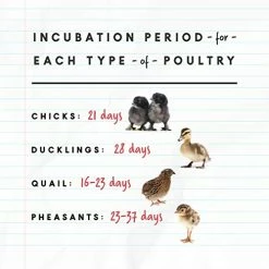 Best Pirce 👏 Mia's Pet Supply Harris Farms Nurture Right Incubator Chicken Coop Cages 🥰 10 Mia's Pet Supply Harris Farms Nurture Right Incubator Chicken Coop Cages