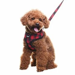 Hot Sale 🛒 Mia's Pet Supply : PUPTECK Soft Mesh 🦮 Dog Harness With Leash - 👏 13 Mia's Pet Supply : PUPTECK Soft Mesh Dog Harness With Leash -